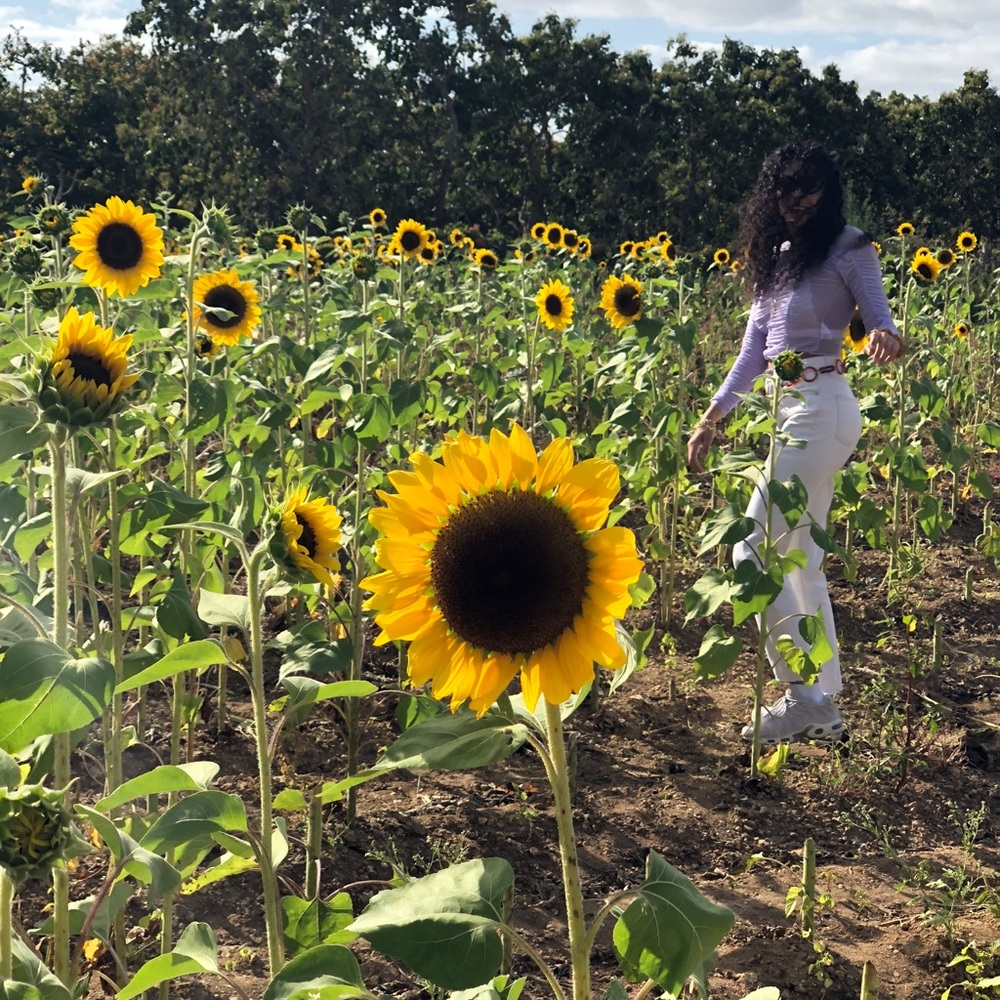 Meet your Posher, Karmel